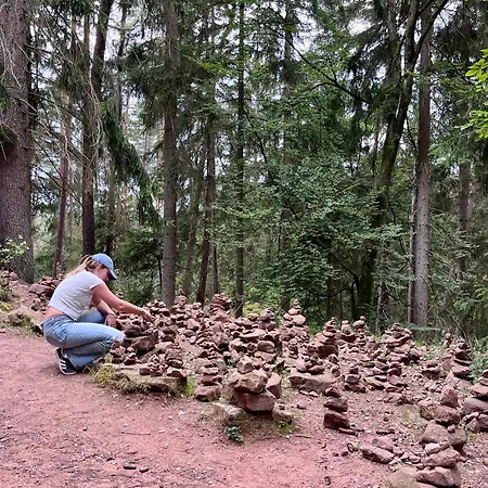 Barbaras Felsenlodge דירה