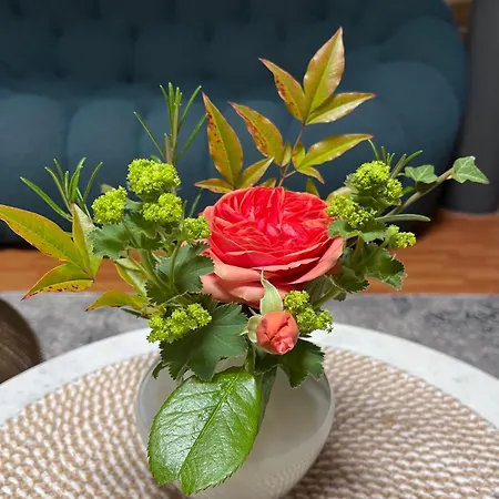 Barbaras Felsenlodge 达恩