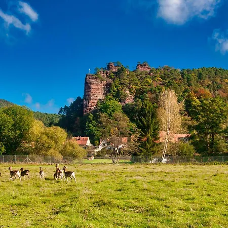 Barbaras Felsenlodge شقة *