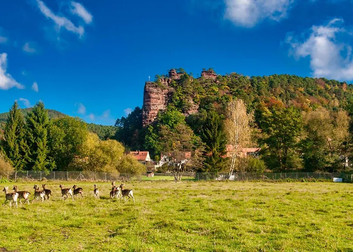 Barbaras Felsenlodge Appartement *